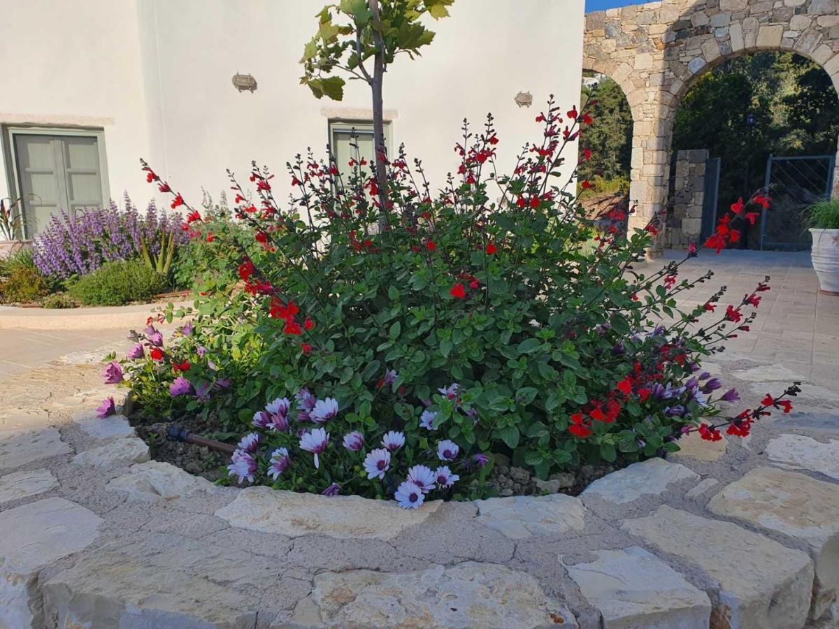 Anamnezia Luxury Suites (Adults Only) Agios Dimitrios (Kos) Exterior foto